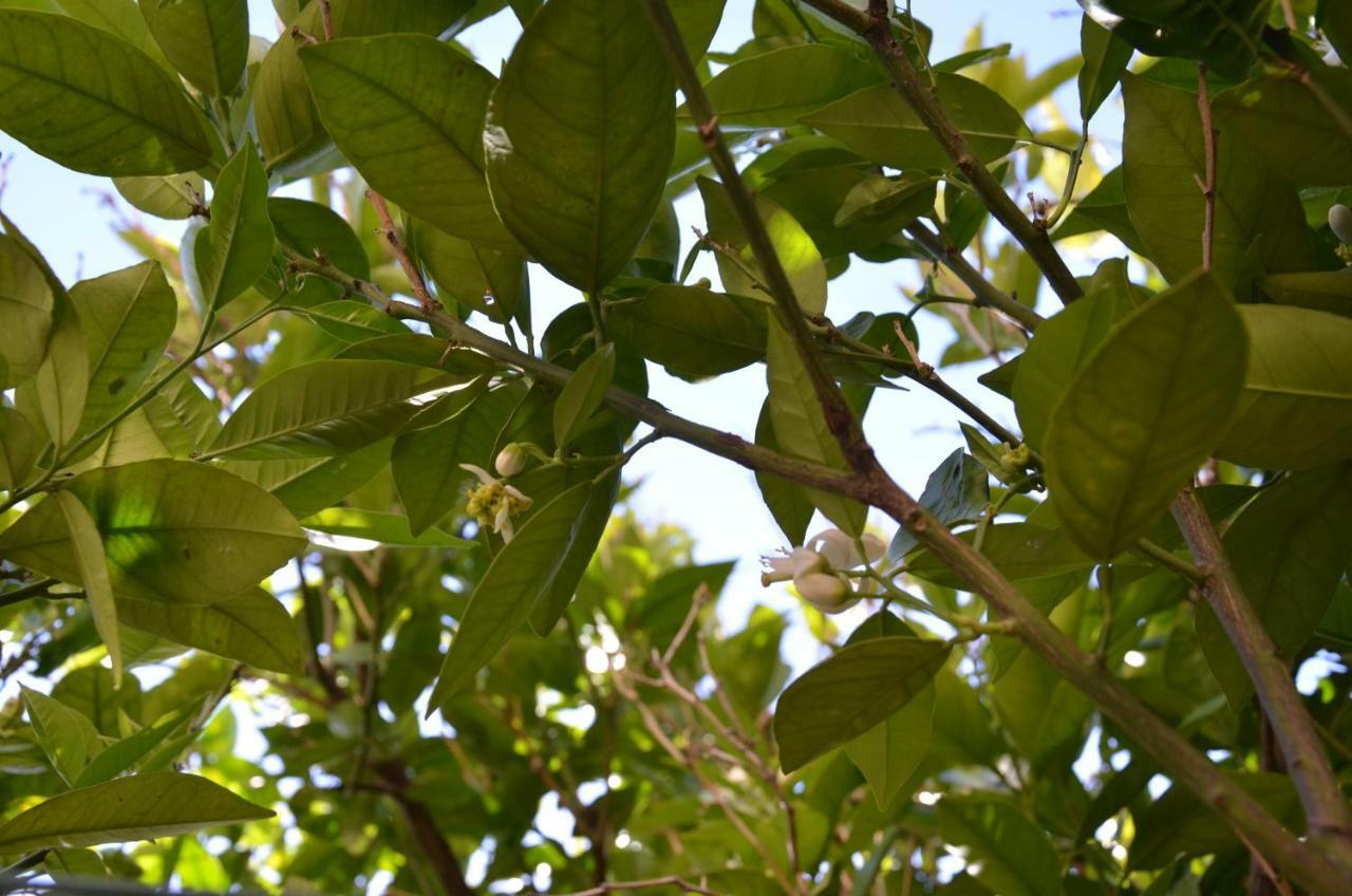 Appartamento Ilgiardinodilina Agrigento Esterno foto