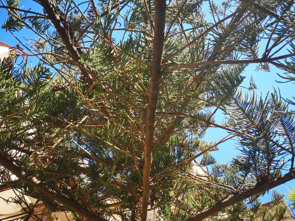 Appartamento Ilgiardinodilina Agrigento Esterno foto